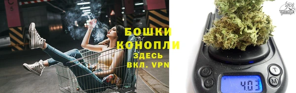 гидра Верея