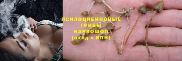 дживик Волосово