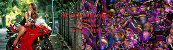 дживик Волосово